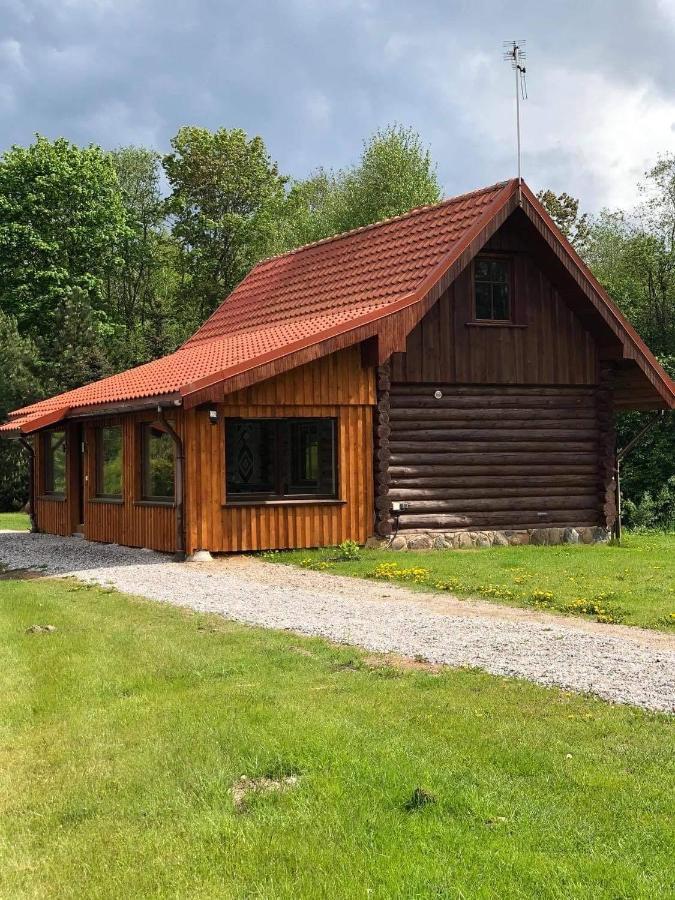 Jurvinge Hotel Zadvainai Kültér fotó