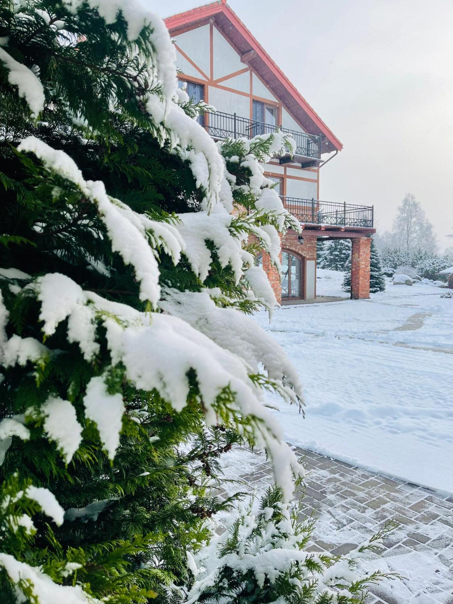 Jurvinge Hotel Zadvainai Kültér fotó